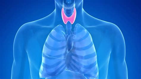 poate un chist din glanda tiroidă afectează varice